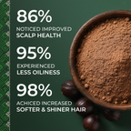 Camellia Scalp Cleansing Ritual – Herbal No-Shampoo Cleanser | Chayuan Valley